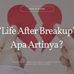 life after breakup artinya